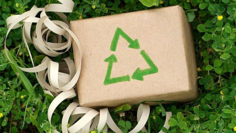Natal sustentável: iniciativas ambientais, reciclagem e energia solar ganham força em 2025